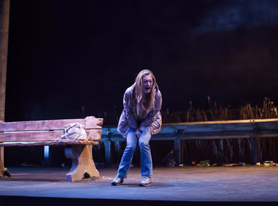 Marin Ireland stars in "Ironbound" at the Geffen Playhouse. Photo by Chris Whitaker.
 Photo
