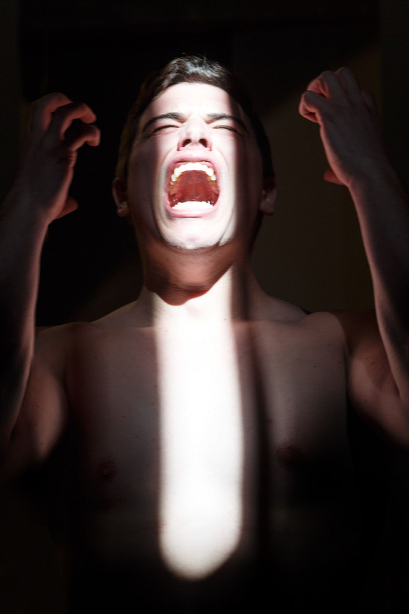 Photo Flash: Pittsburgh Opera Presents The World Premiere Of ASHES & SNOW  Image