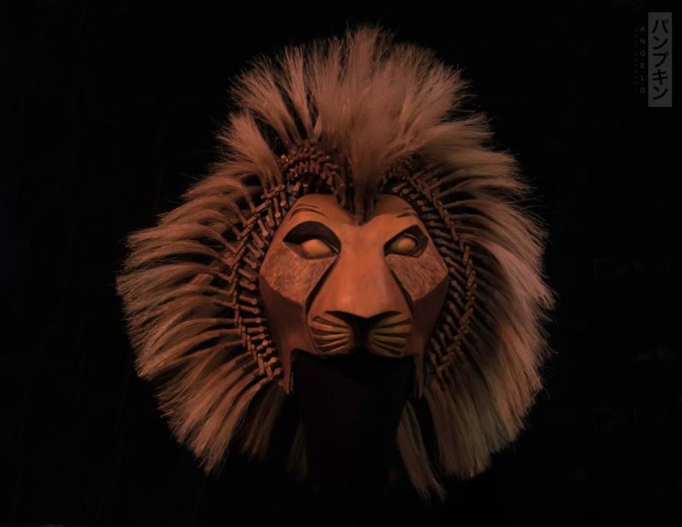 Photo Coverage: THE LION KING First International Tour Meets The Press  Image