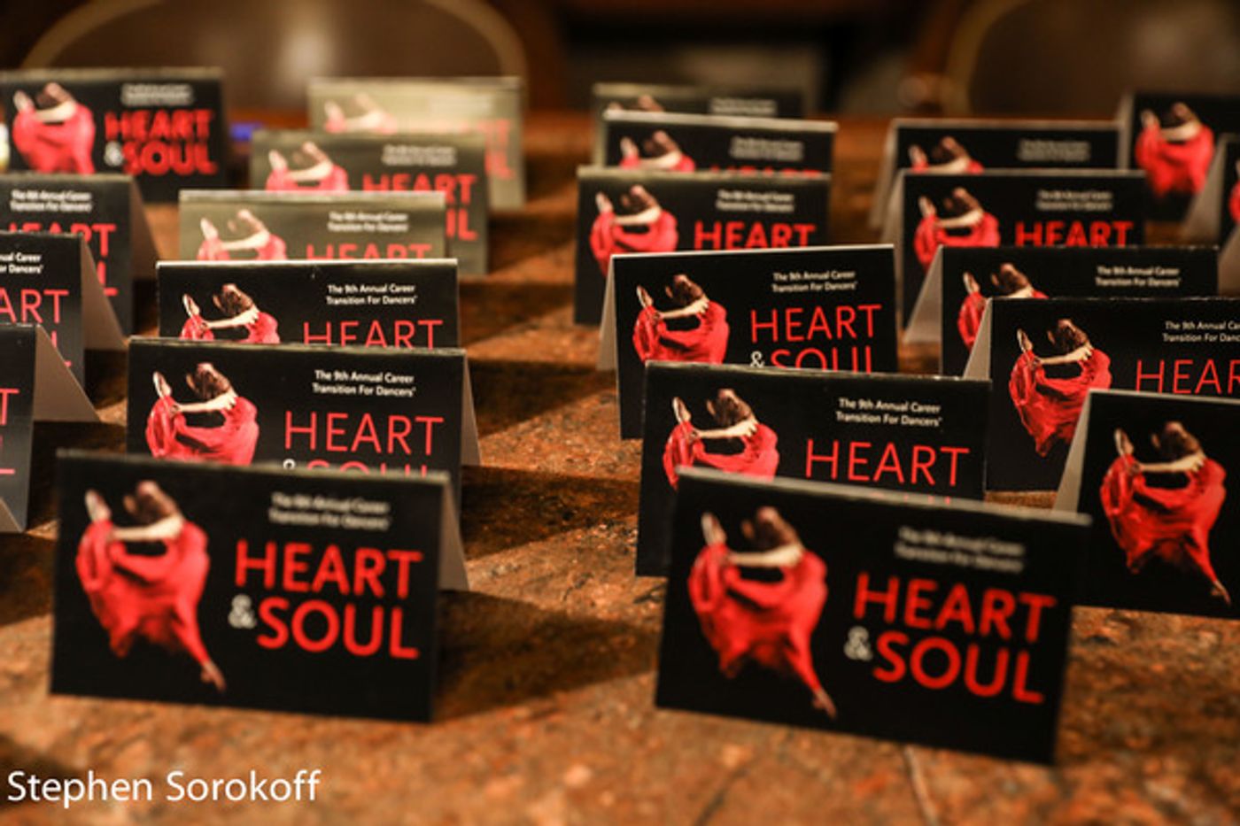 Photo Coverage: The Actors Fund, Dancers In Transition, and Anka Palitz in Step at Heart & Soul Gala  Image