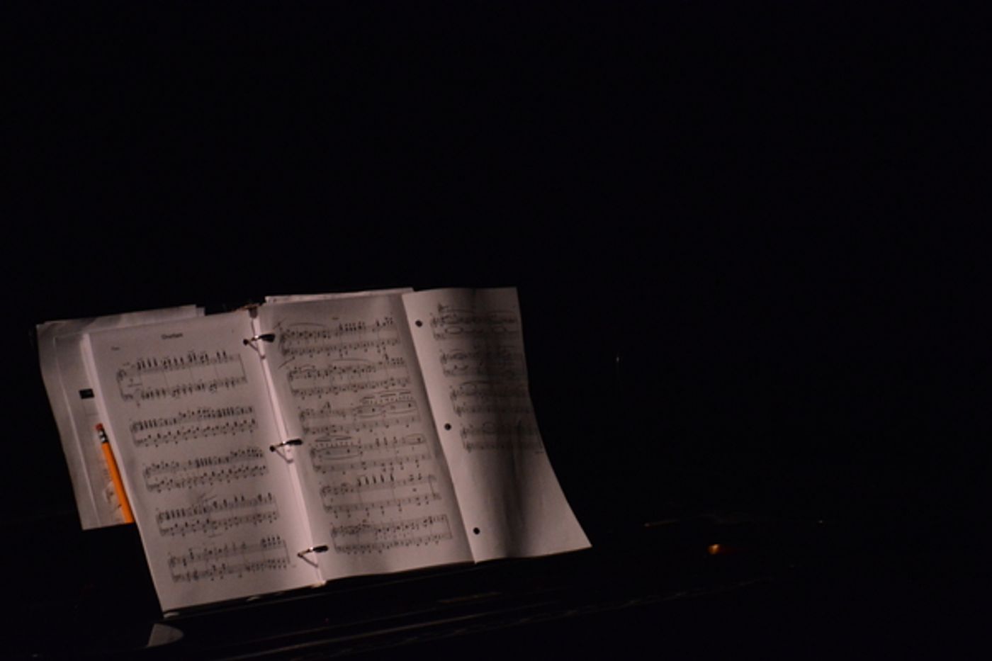 Photo Coverage: Inside Opening Night of The York Theatre Musicals in Mufti Series' BAR MITZVAH BOY  Image