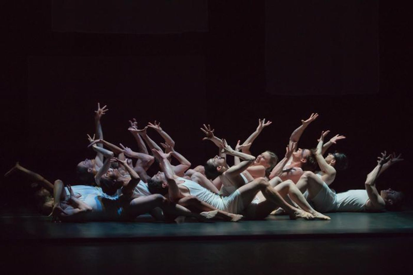 Review: Nashville Ballet's Stunning Performance of Stephen Mills' LIGHT  Image