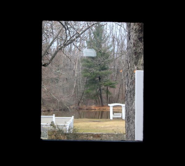 Frank Ferrante Photo