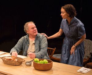 Jay O. Sanders as Ványa and Yvonne Woods as Sónya Alexándrivna in Uncle Vanya, translated by Richard Pevear and Larissa Volokhonsky, directed and translated by Richard Nelson, running February 10 – March 11, 2018 at The Old Globe. Photo by Jim Cox. @ BroadwayWorld Jay O. Sanders as Ványa and Yvonne Woods as Sónya Alexándrivna in Uncle Vany Photo