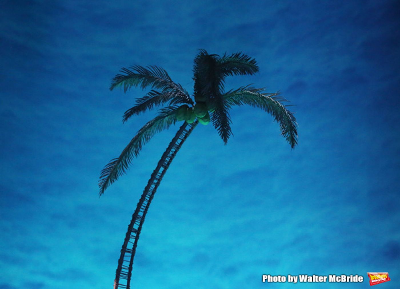 Photo Coverage: In Conversation With the Creatives of ESCAPE TO MARGARITAVILLE  Image