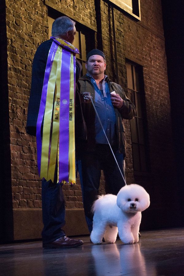 Flynn (with his handler Bill McFadden) on stage with Daniel Stewart Sherman. Photo by Photo