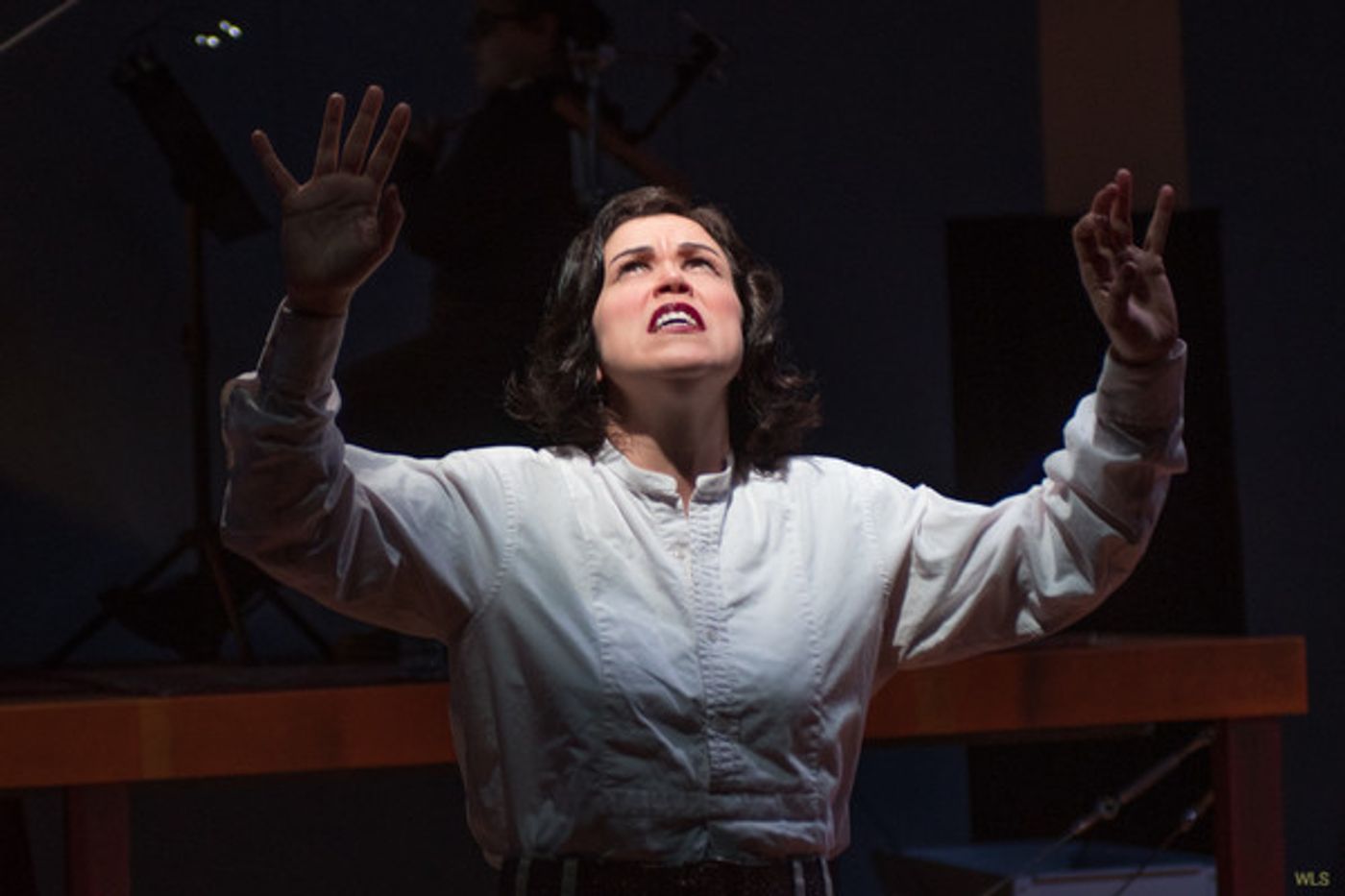 Photo Flash: Firehouse Theatre presents WINGS THE MUSICAL  Image