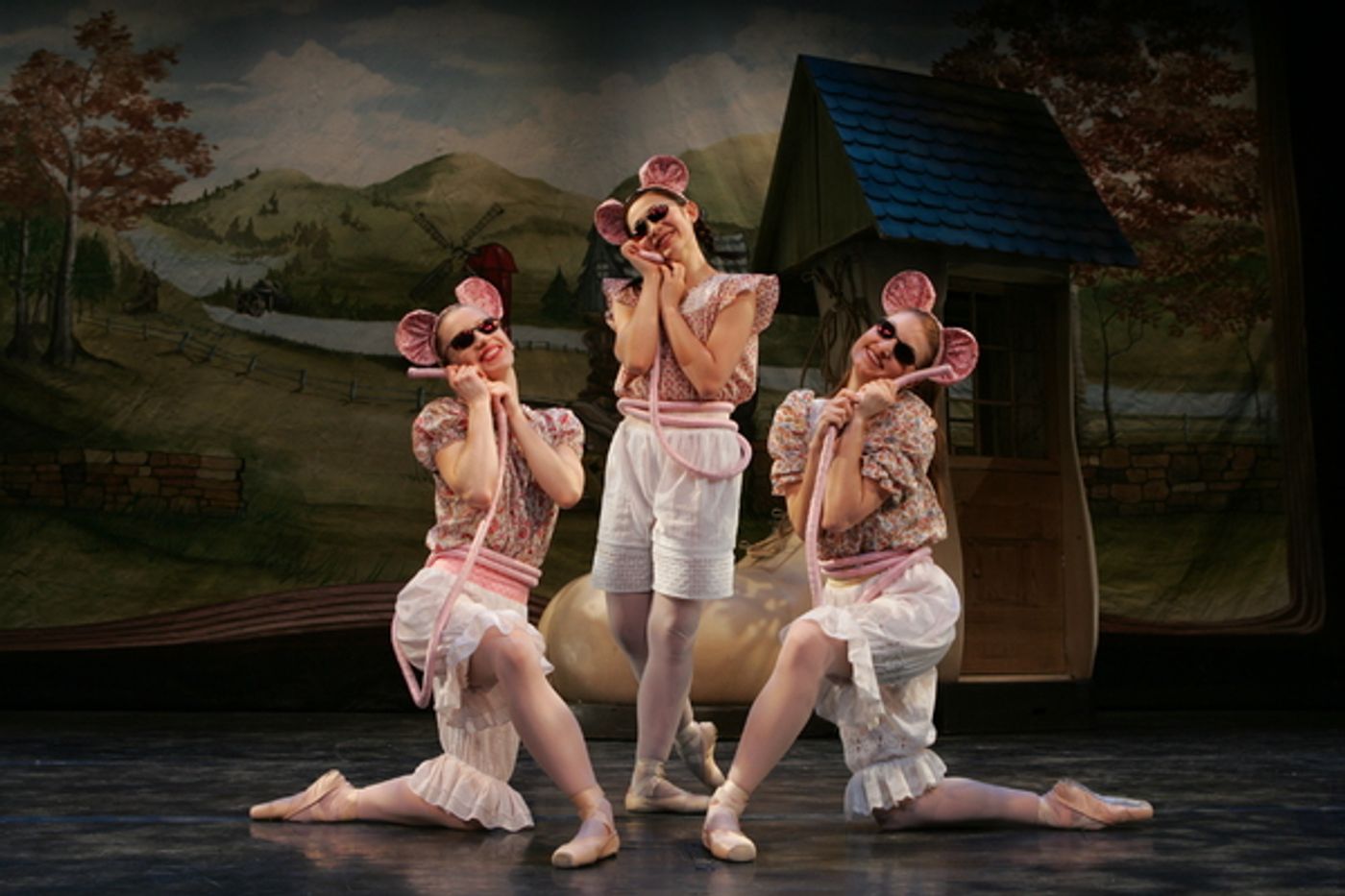 Photo Flash: Schimmel Center presents New York Theatre Ballet in MOTHER GOOSE!  Image