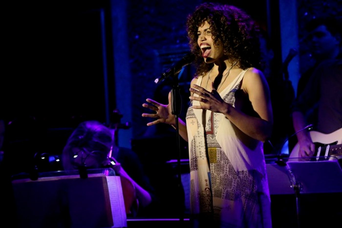 Photo Flash: Lesli Margherita, Ben Fankhauser, and More Broadway Favorites Sing Demi Lovato's Hits  Image