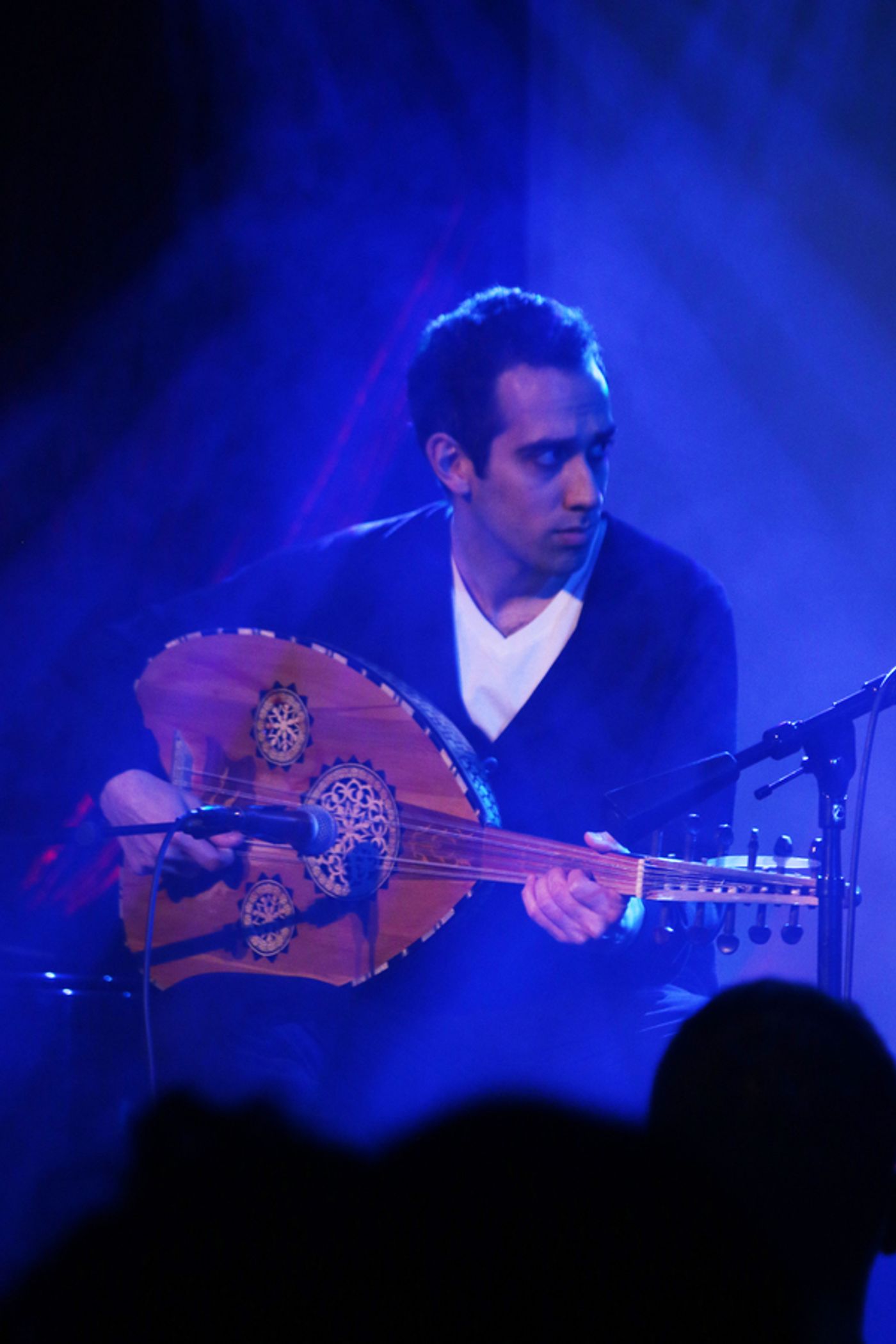 Photo Flash: Broadway Stars Sing Out for Peace at Charity Benefit  Image