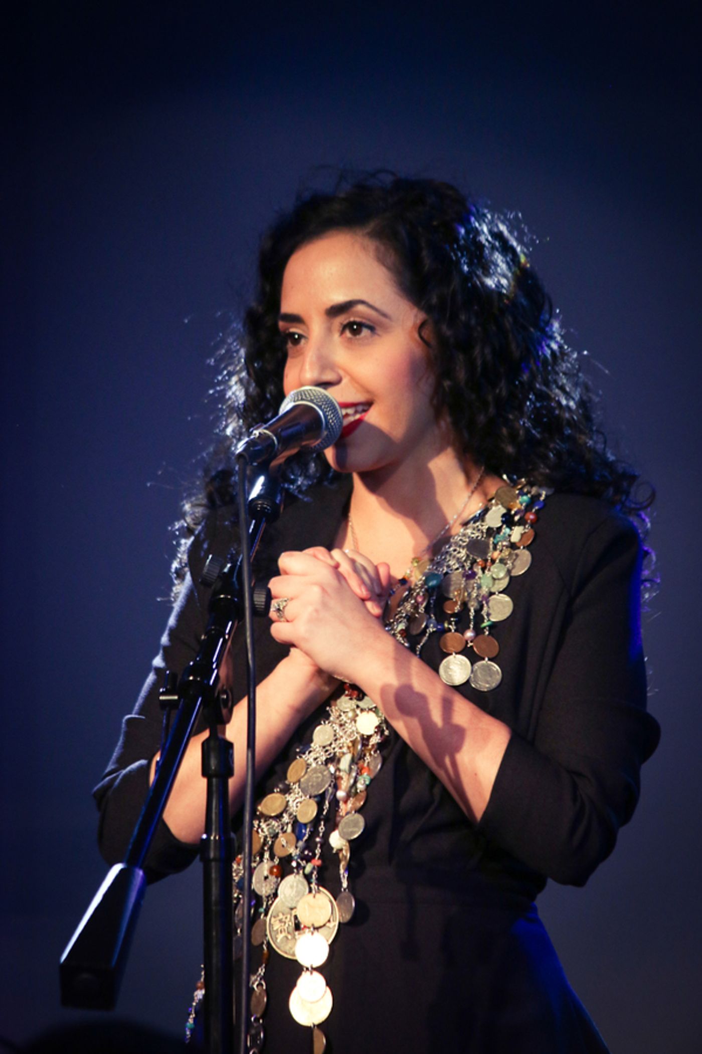 Photo Flash: Broadway Stars Sing Out for Peace at Charity Benefit  Image