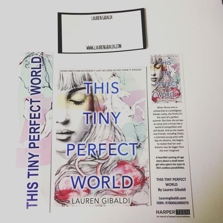 Review: THIS TINY PERFECT WORLD by Lauren Gibaldi  Image