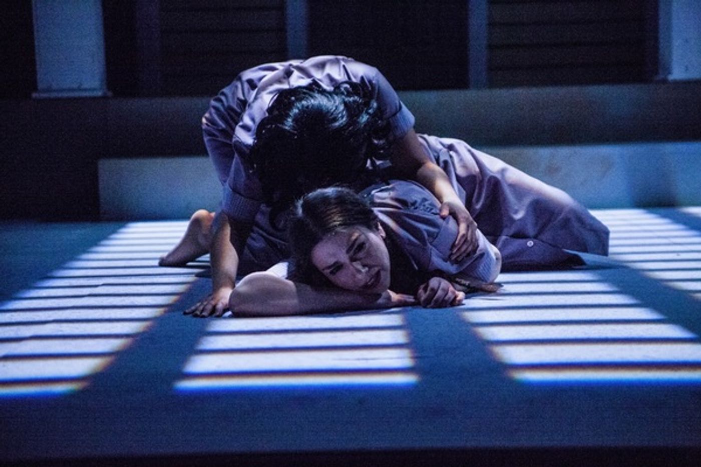 Photo Flash: CPT and TPC Stage Co-Production of EN EL TIEMPO DE LAS MARIPOSAS/IN THE TIME OF THE BUTTERFLIES Photo Flash: CPT and TPC Stage Co-Production of EN EL TIEMPO DE LAS MARIPOSAS/IN THE TIME OF THE BUTTERFLIES Image