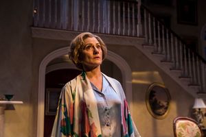 Janet Ulrich Brooks. Photo by Liz Lauren @ BroadwayWorld Janet Ulrich Brooks. Photo by Liz Lauren Photo