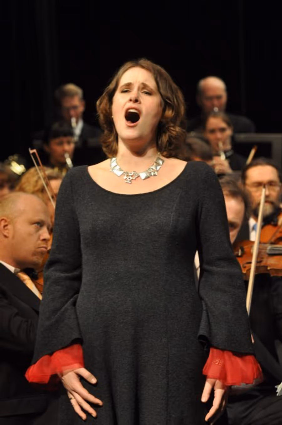 Review: NJ SYMPHONY PERFORMS BRAHMS AND MAHLER at Bergen PAC Image