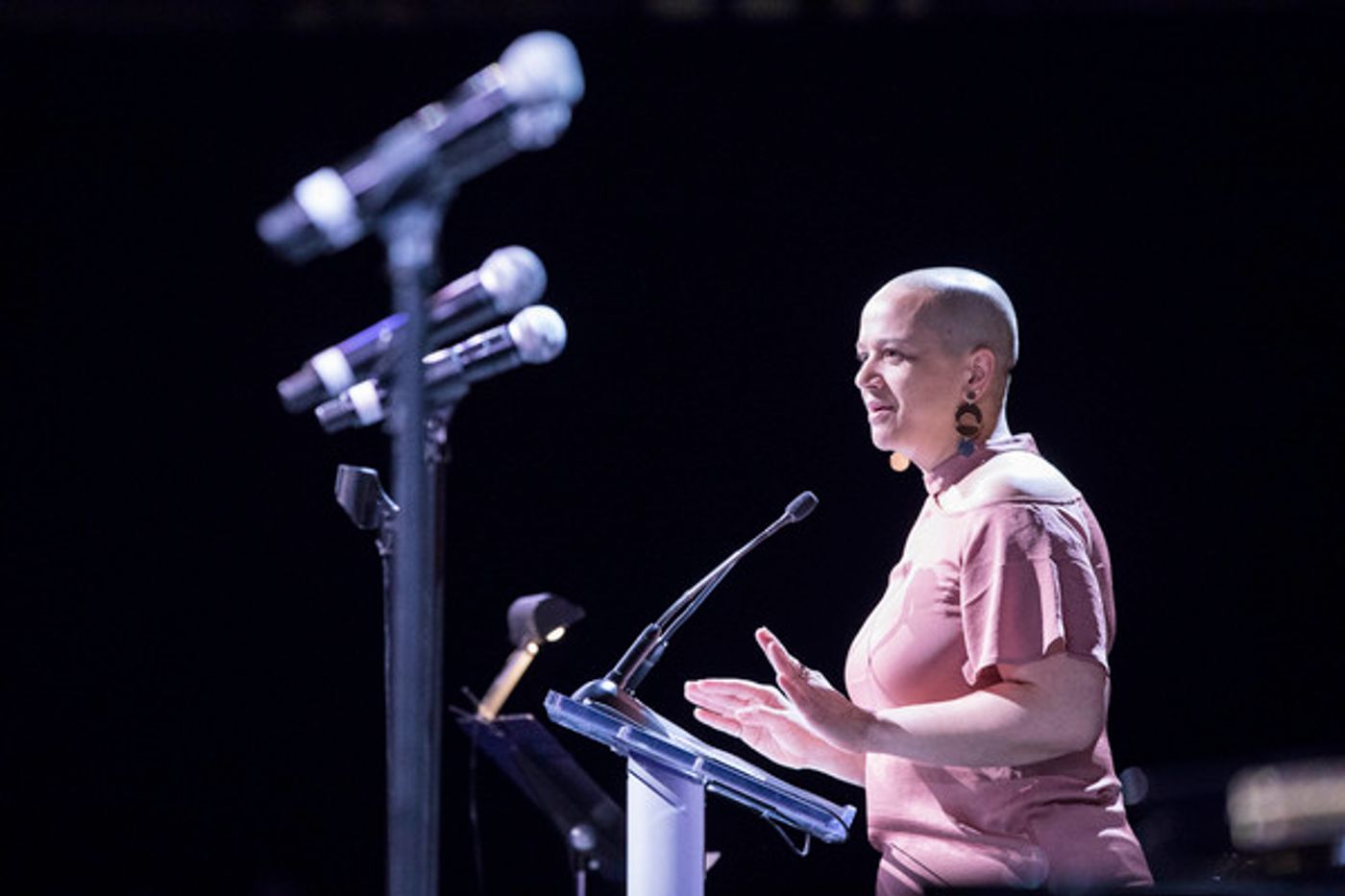 Photo Flash: Elizabeth Stanley Previews JAGGED LITTLE PILL at A.R.T.'s 2018 Gala  Image