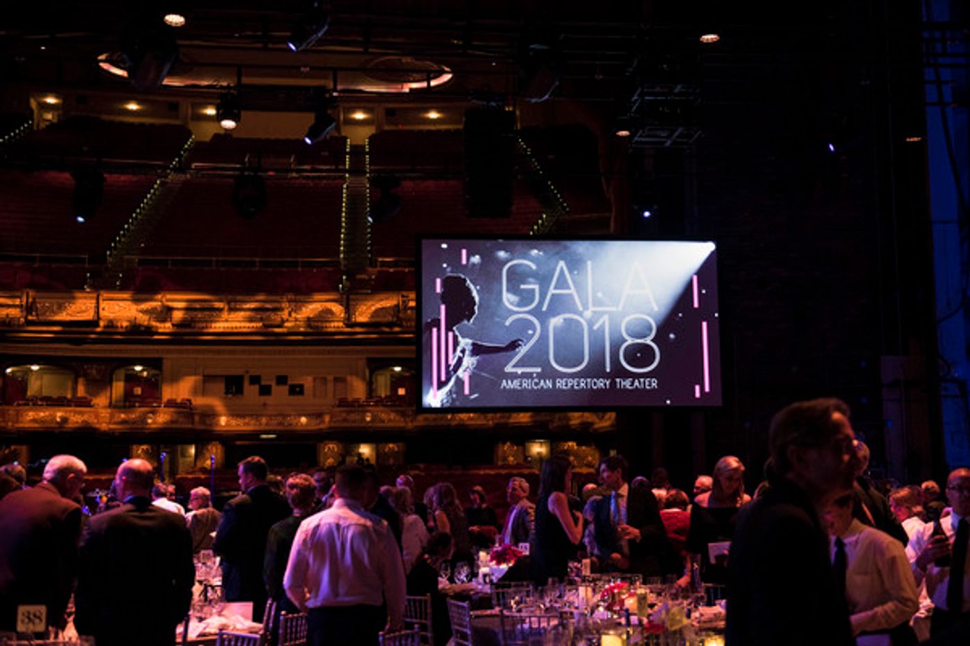 Photo Flash: Elizabeth Stanley Previews JAGGED LITTLE PILL at A.R.T.'s 2018 Gala  Image