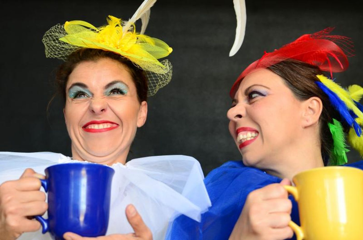 SASOLBURG COMMON 'BIRDS' OF SOUTH AFRICA Comes to Alexander Upstairs  Image