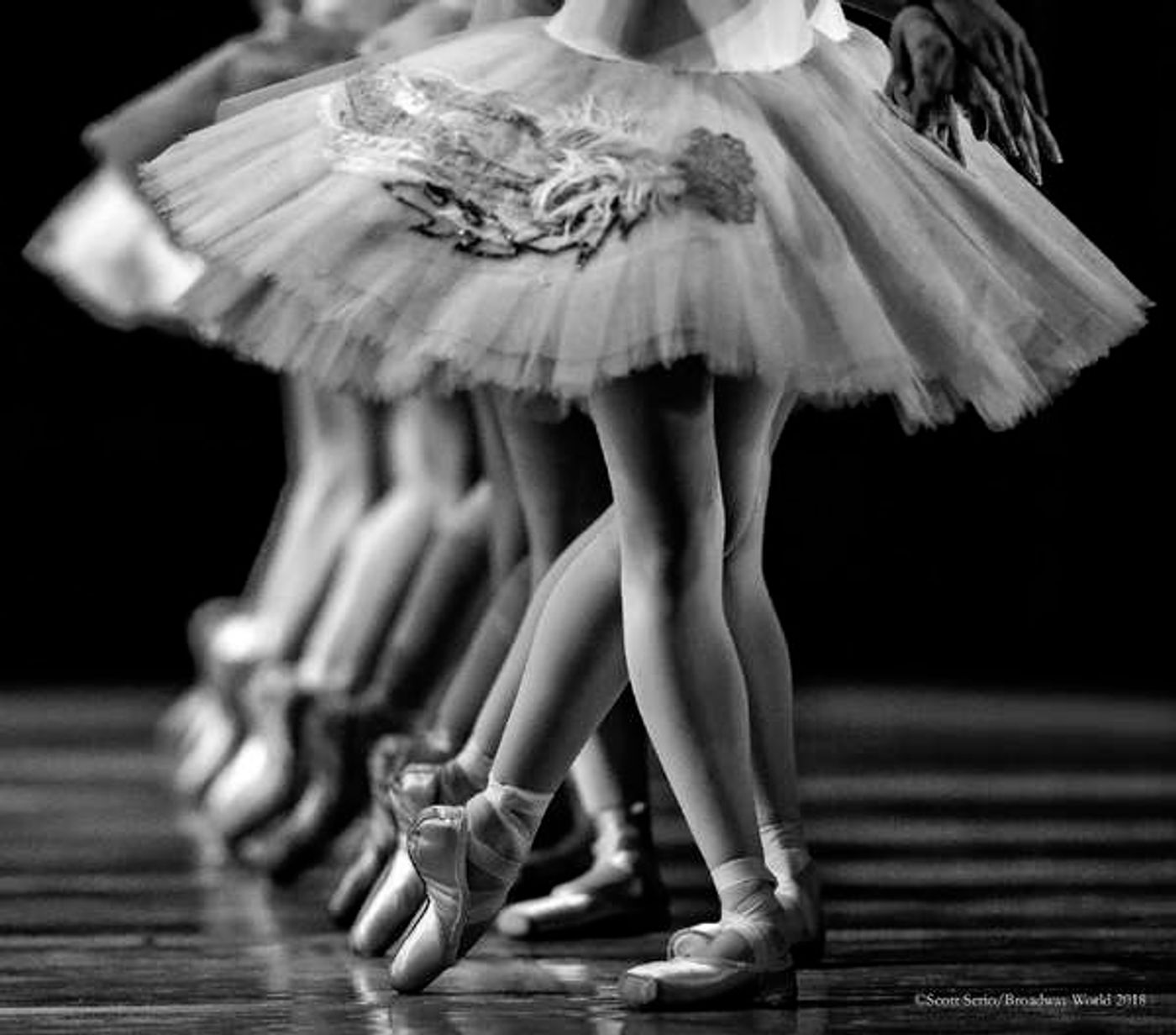 BWW Previews: SWAN LAKE at The Academy Of Music BWW Previews: SWAN LAKE at The Academy Of Music Image