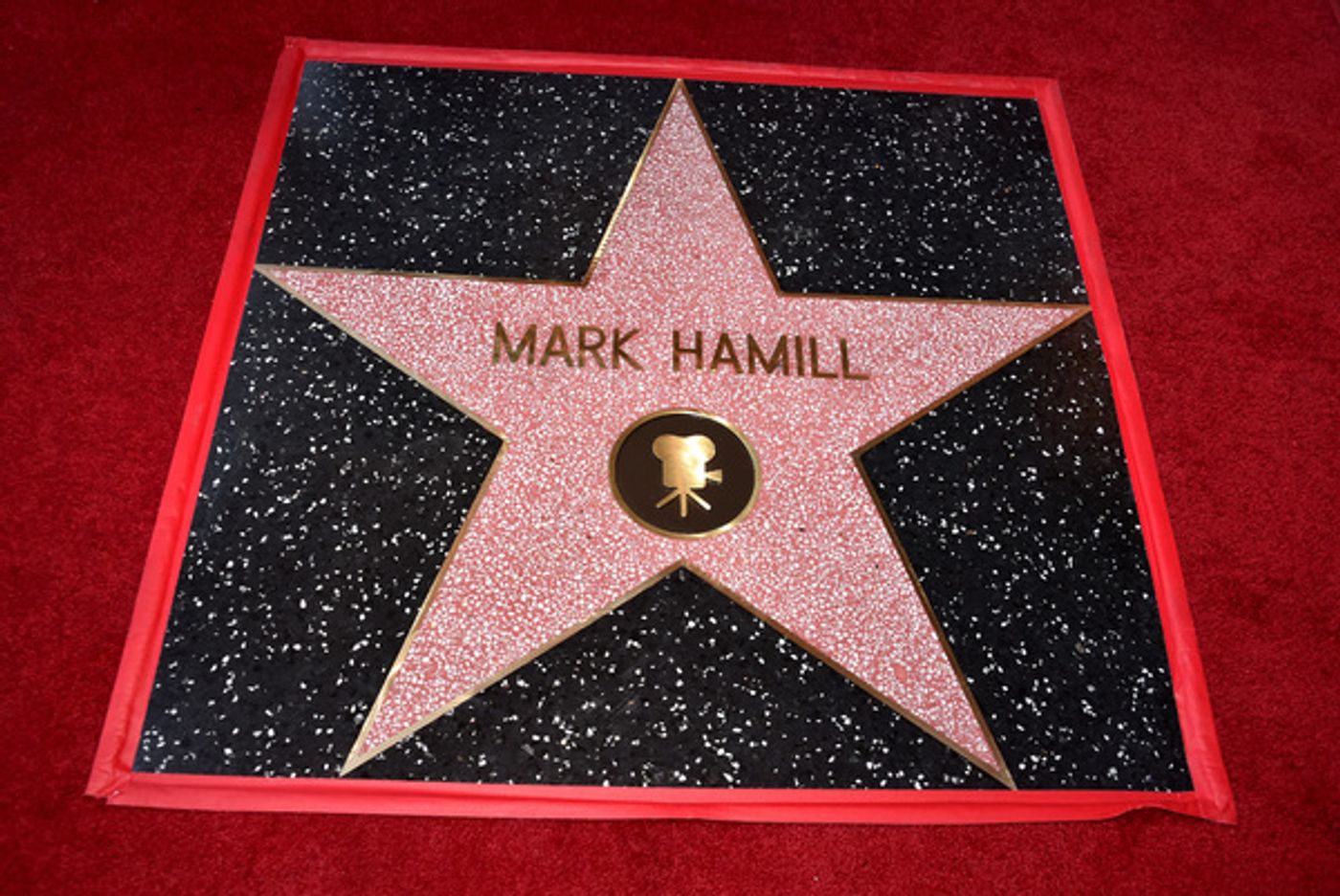 Photo Coverage: Mark Hamill Receives Star on the Hollywood Walk of Fame  Image
