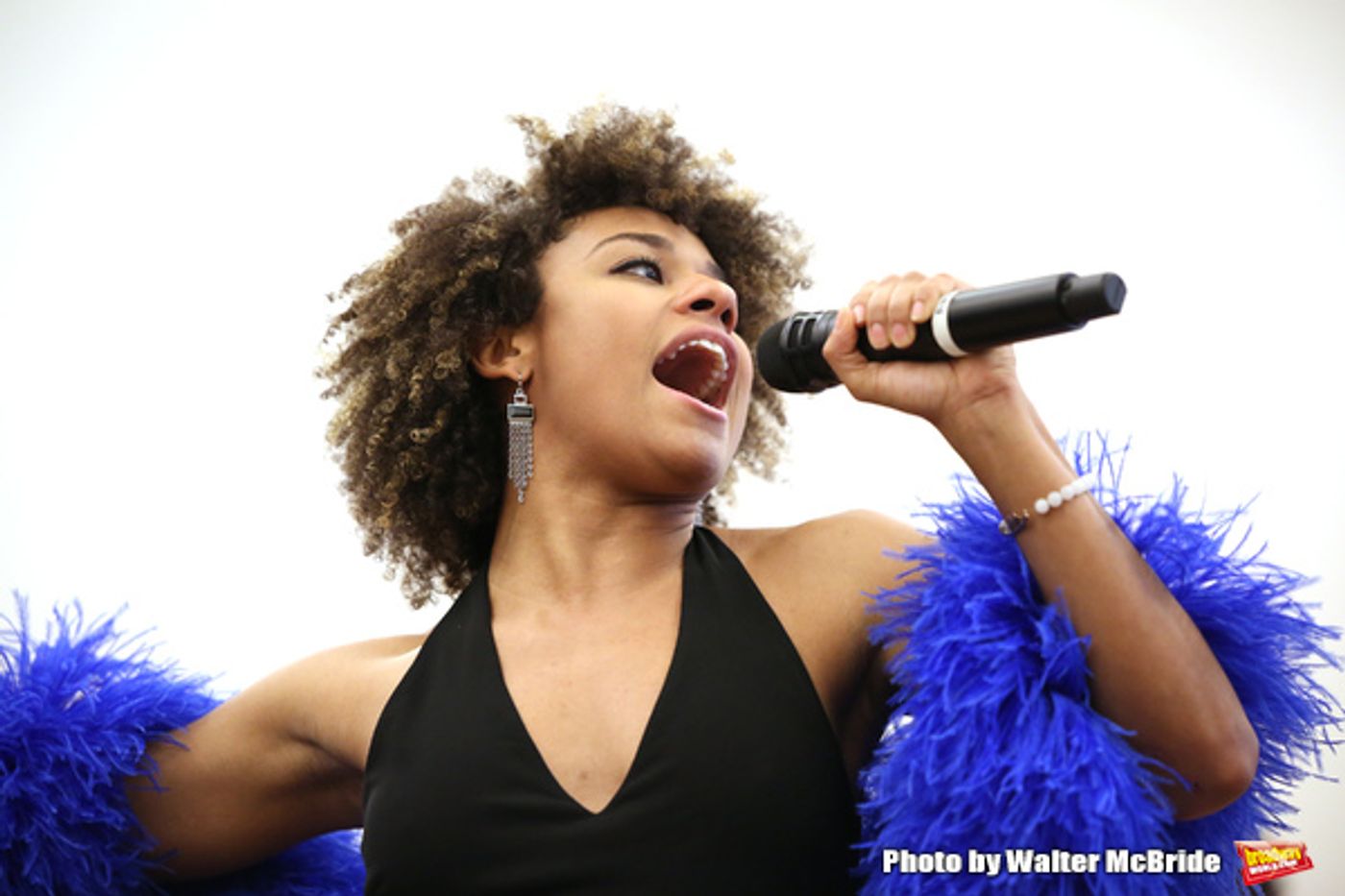 Photo Coverage: The Cast of SUMMER Gives a Preview Performance for the Press  Image