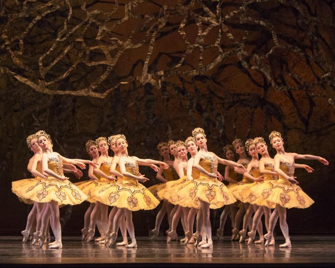 Review: National Ballet Delivers Grand Spectacle with THE SLEEPING BEAUTY Review: National Ballet Delivers Grand Spectacle with THE SLEEPING BEAUTY Image