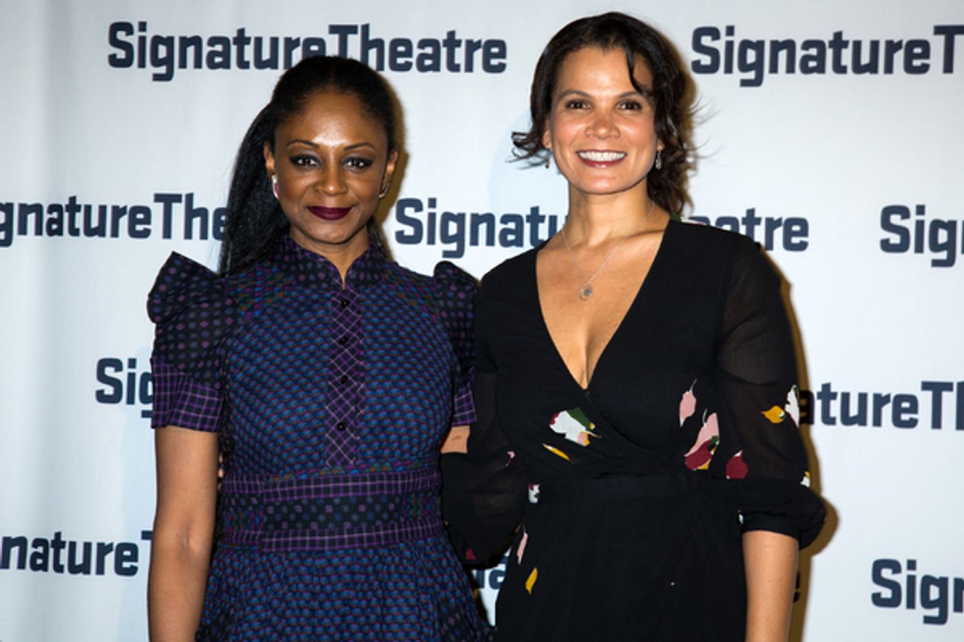 Photo Coverage: Signature Theatre Gala Celebrates Edward Albee and Michael Rauch  Image