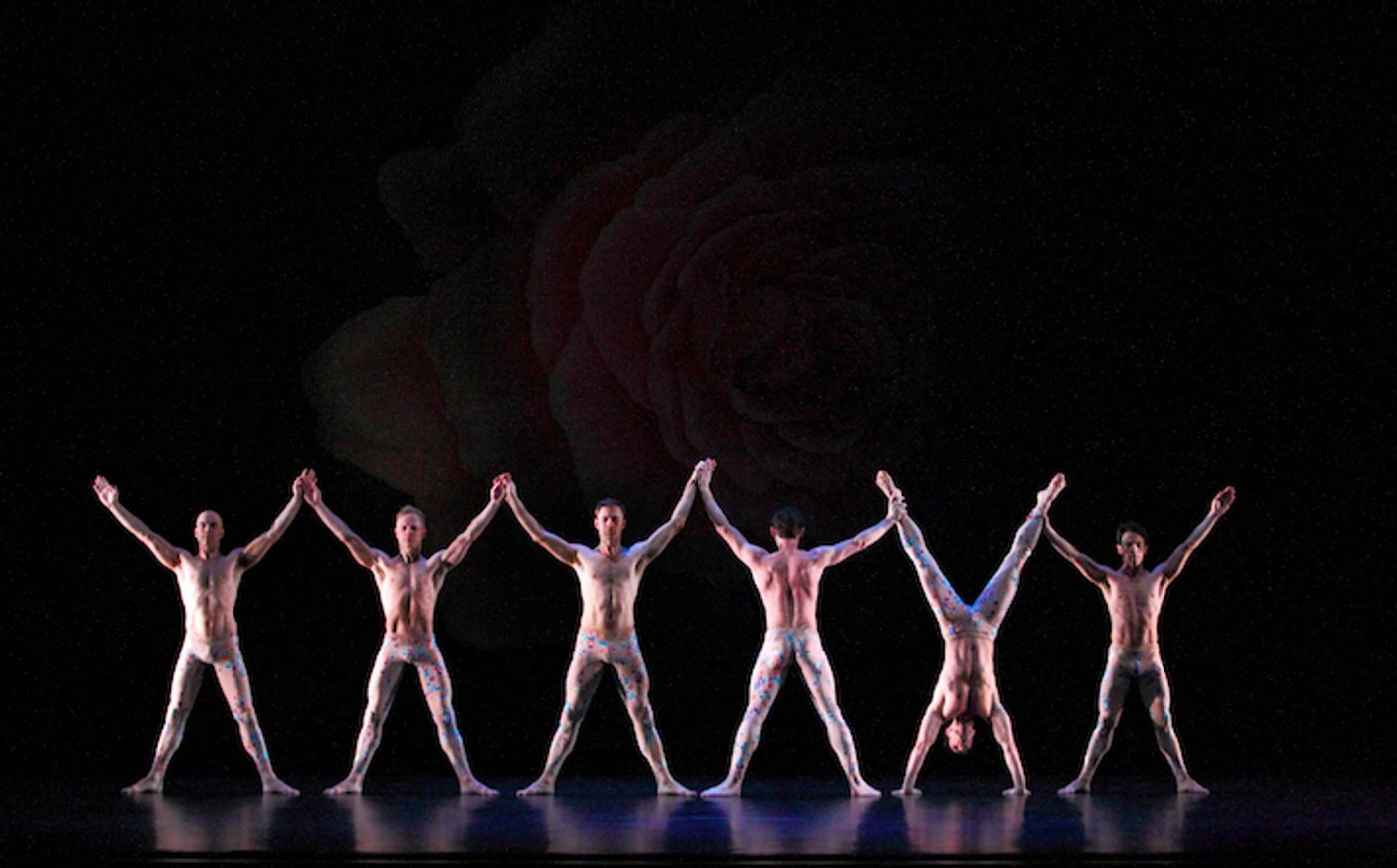 Review: PAUL TAYLOR DANCE COMPANY at Lincoln Center is Thrilling Review: PAUL TAYLOR DANCE COMPANY at Lincoln Center is Thrilling Image