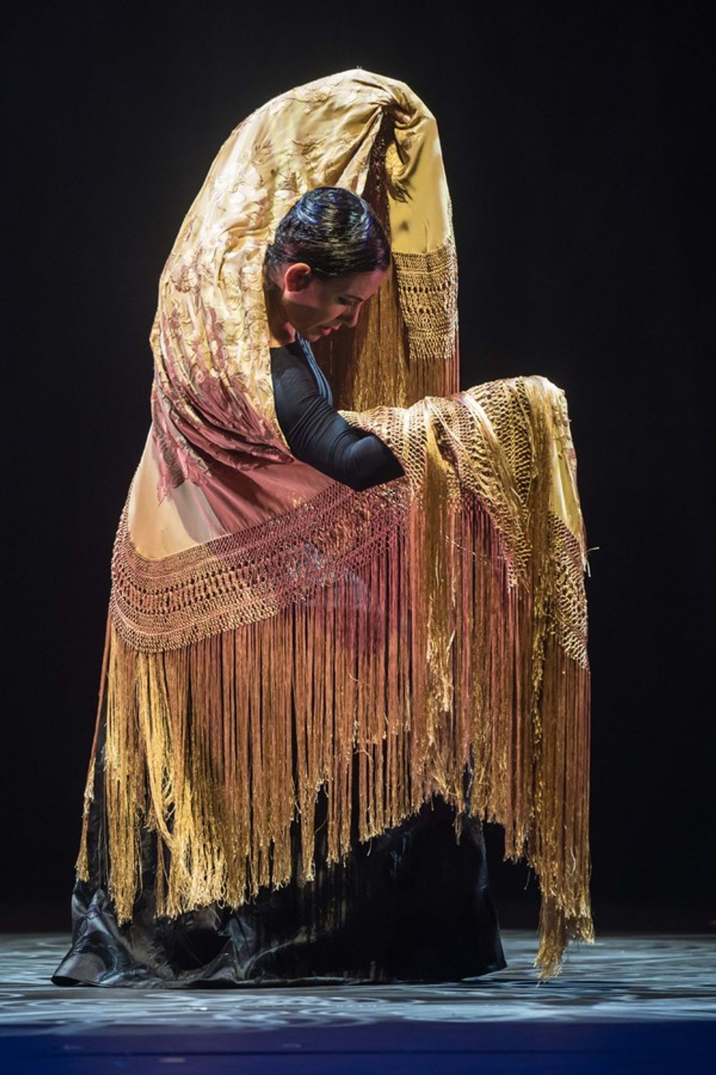 Photo Flash: Inside The 2018 FLAMENCO FESTIVAL at New York City Center  Image