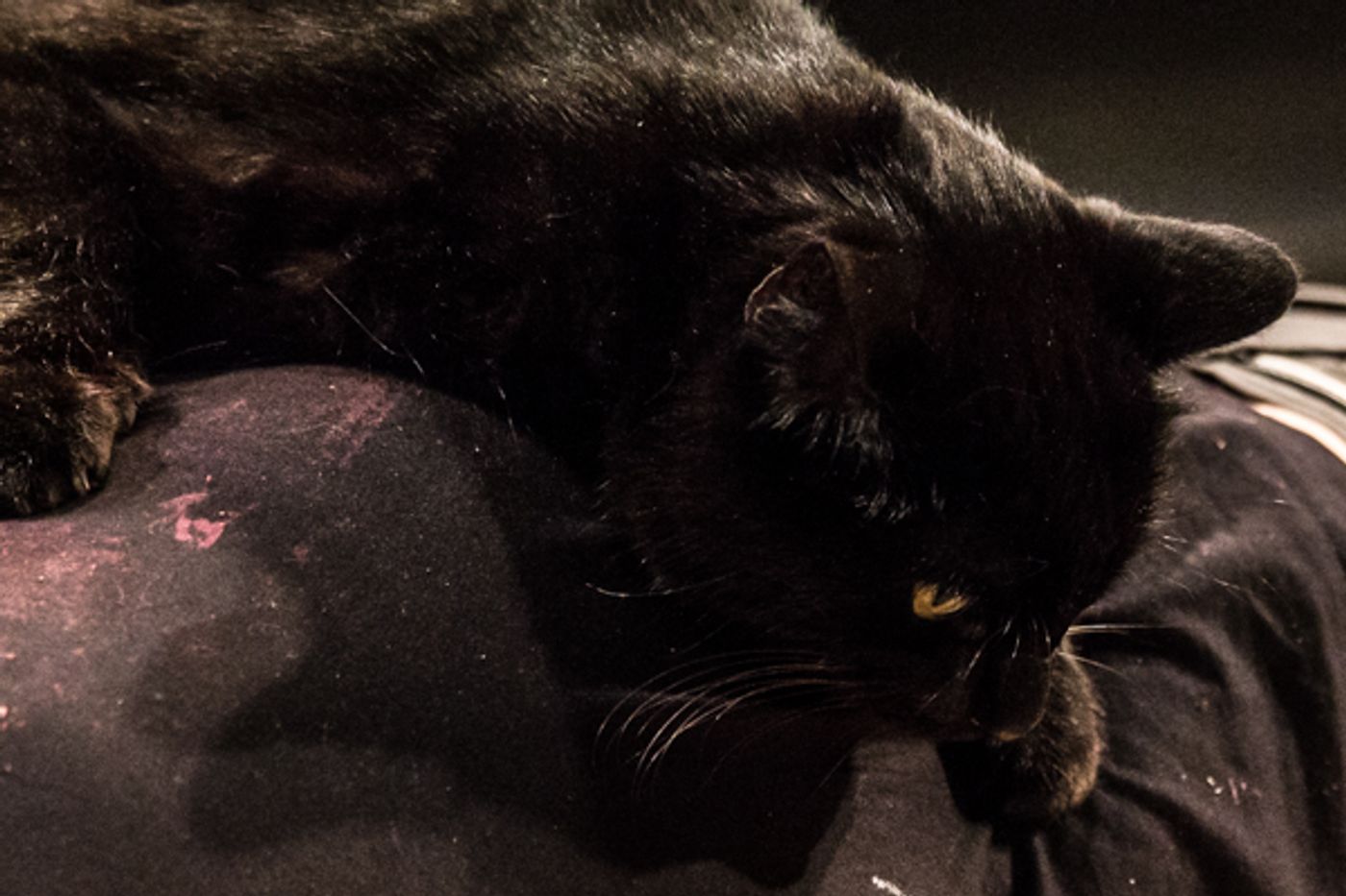 Photo Coverage: First look at Warehouse Theatre Columbus' THE LIEUTENANT OF INISHMORE  Image