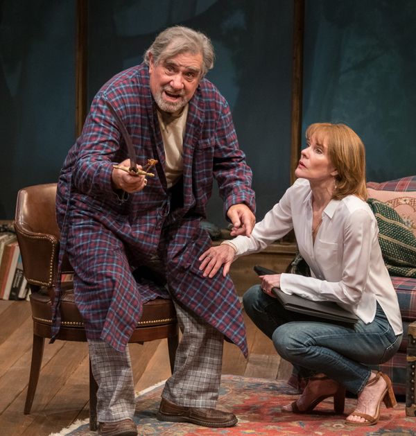 Dan Lauria and Carolyn McCormick Photo