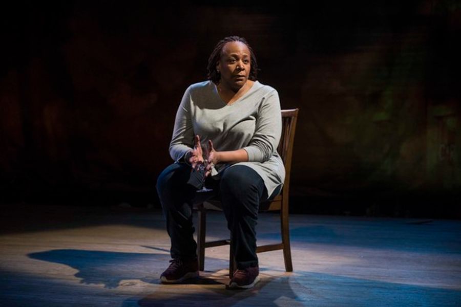 Photo Flash: Milwaukee Repertory Theater Presents UNTIL THE FLOOD Image