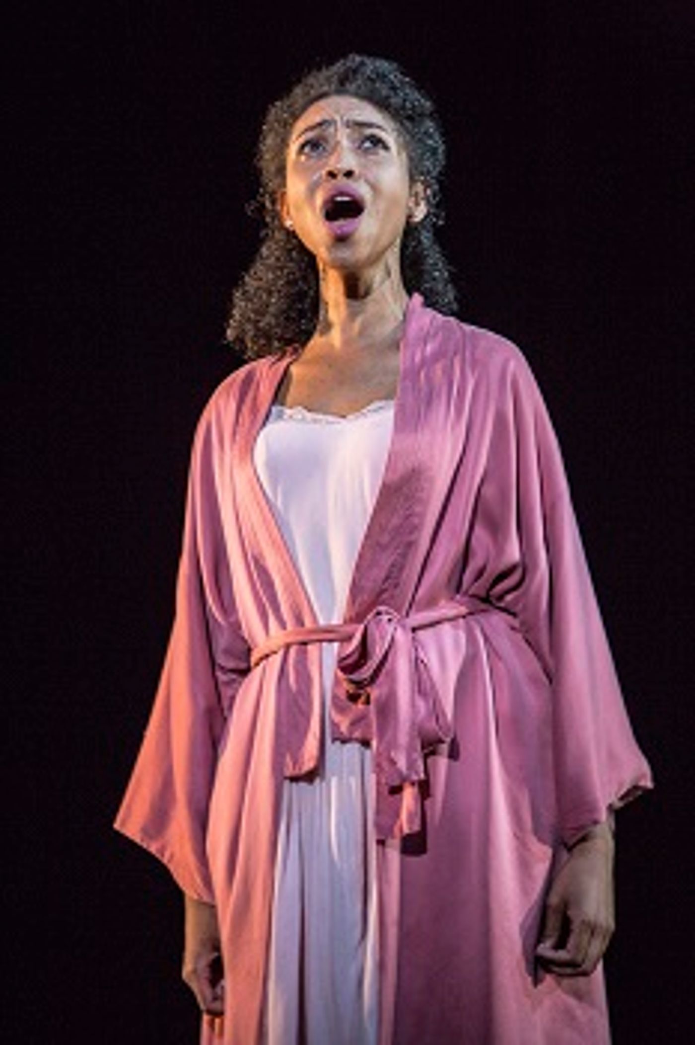 Review: The Fugard's WEST SIDE STORY at the Artscape Theatre a Musical for the Ages  Image