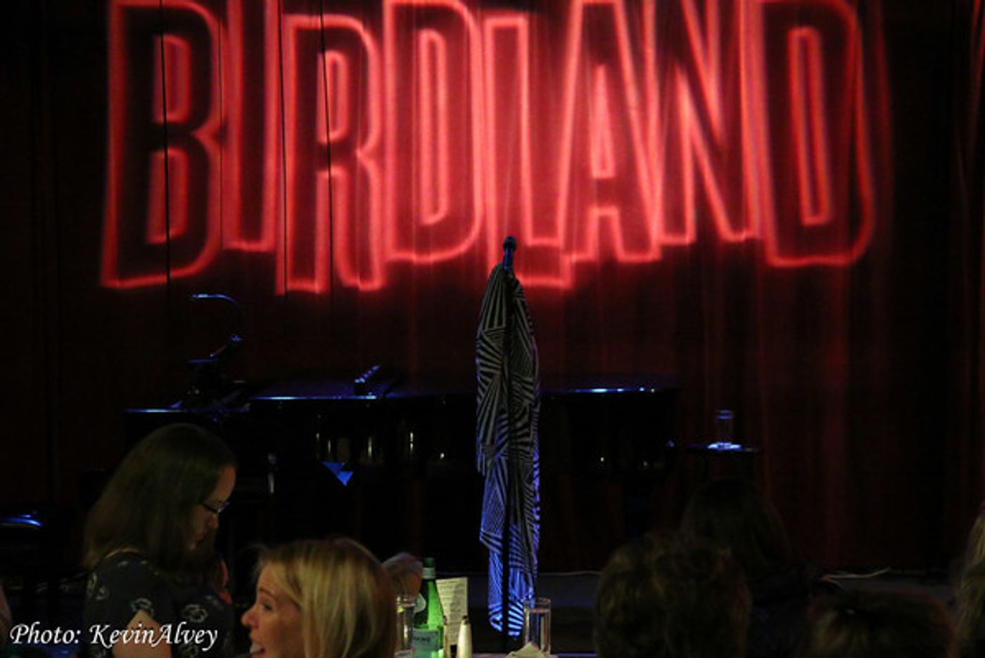 Photo Flash: Constantine Maroulis Takes the Stage at Birdland  Image