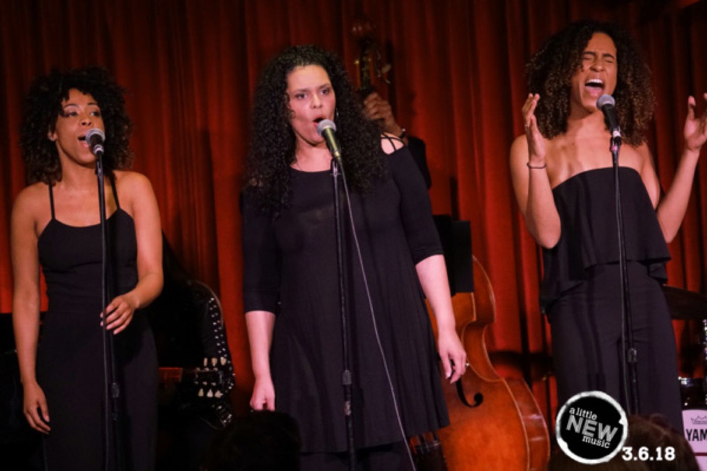 Photo Flash: A LITTLE NEW MUSIC Returns To The Catalina With An All Star Cast!  Image