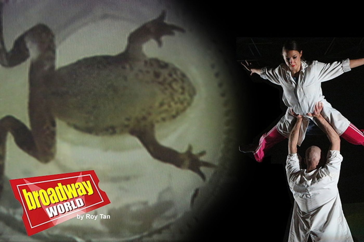 Photo Flash: First Look at MOTIONHOUSE – CHARGE  Image