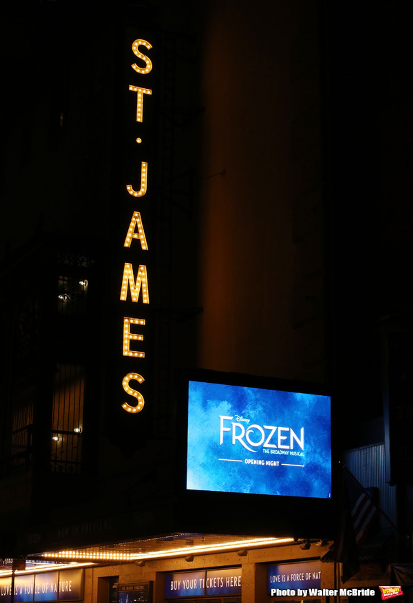 Photo Coverage: A Cold Front Takes Over Broadway! Inside FROZEN's Opening Night Curtain Call  Image