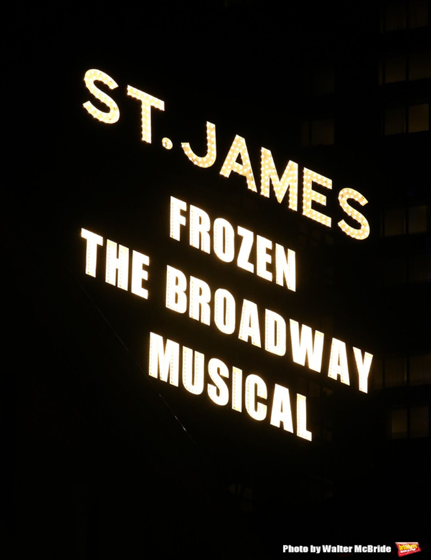 Photo Coverage: A Cold Front Takes Over Broadway! Inside FROZEN's Opening Night Curtain Call  Image