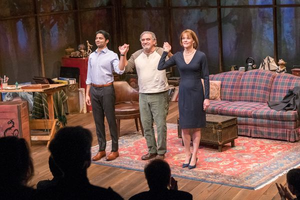 Rupak Ginn, Dan Lauria, Carolyn McCormick Photo