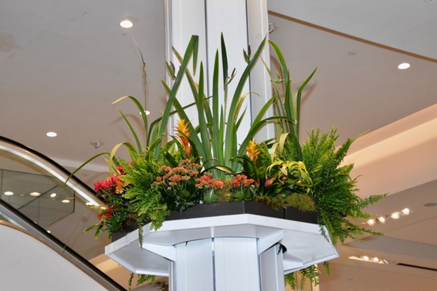 Photo Coverage: Macy's Herald Square Flower Show Presents: ONCE UPON A SPRINGTIME Photo Coverage: Macy's Herald Square Flower Show Presents: ONCE UPON A SPRINGTIME Image