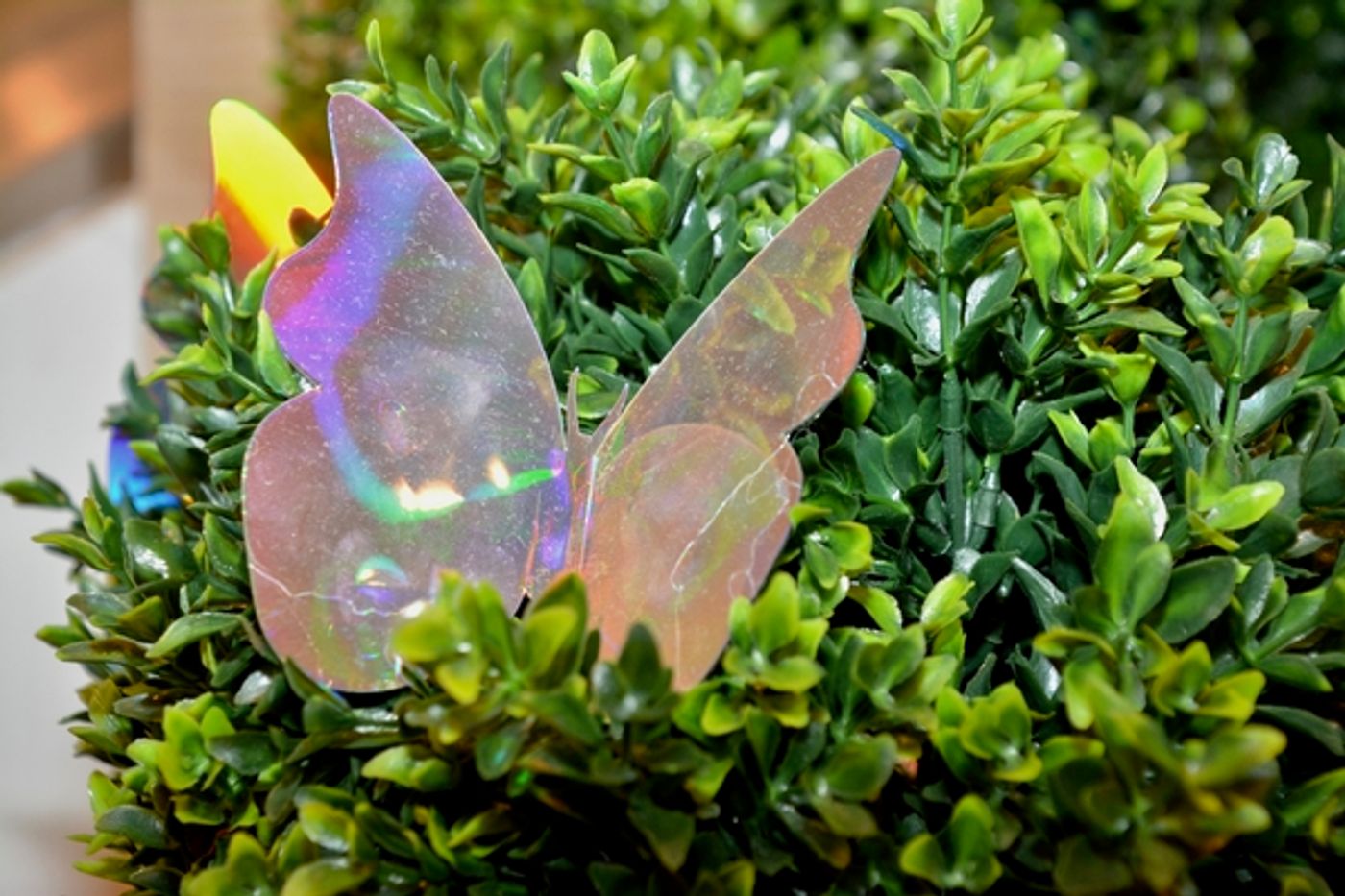 Photo Coverage: Macy's Herald Square Flower Show Presents: ONCE UPON A SPRINGTIME Photo Coverage: Macy's Herald Square Flower Show Presents: ONCE UPON A SPRINGTIME Image