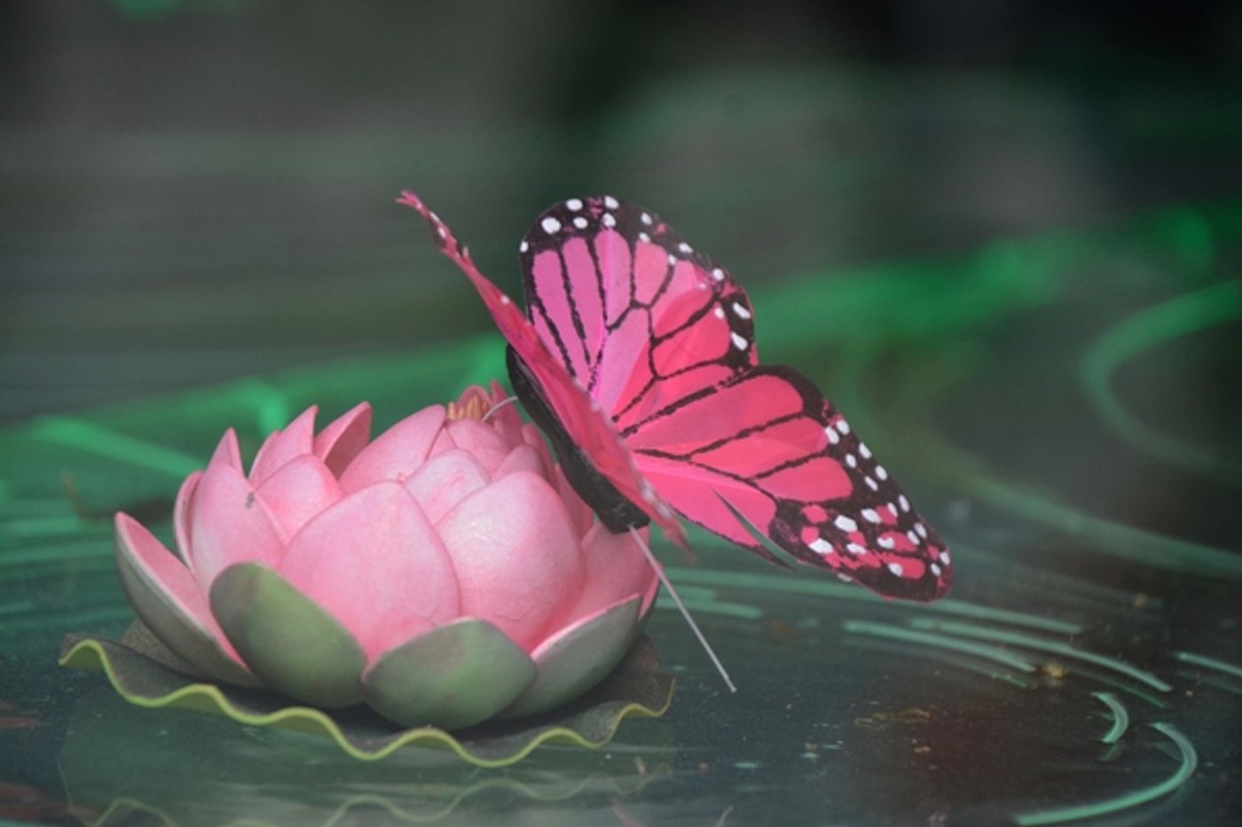 Photo Coverage: Macy's Herald Square Flower Show Presents: ONCE UPON A SPRINGTIME Photo Coverage: Macy's Herald Square Flower Show Presents: ONCE UPON A SPRINGTIME Image