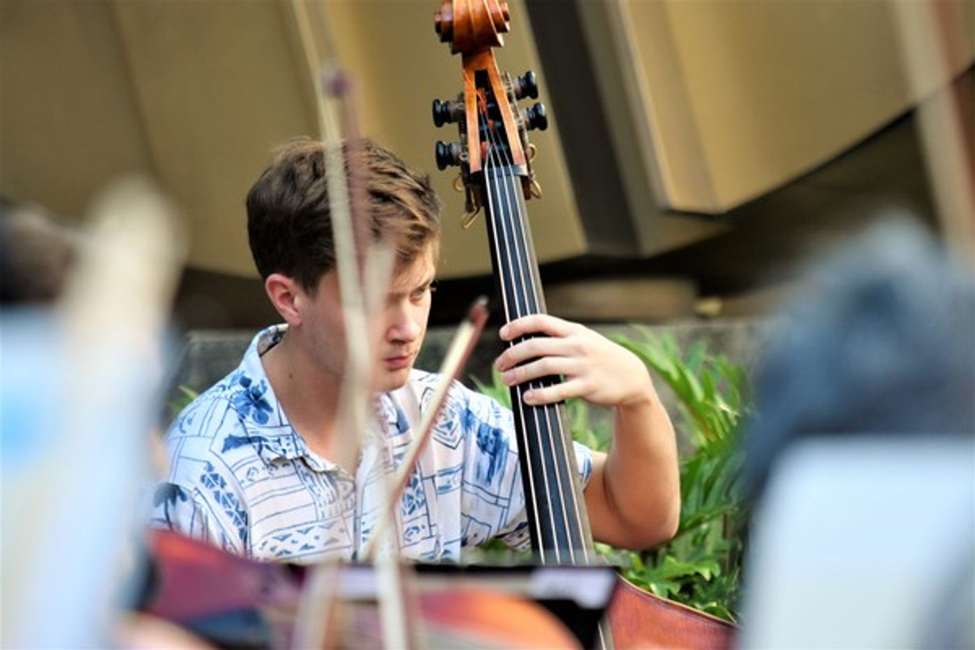 BWW Blog: Hawai'i Symphony Orchestra Celebrates Triumph over Subjugation at Bank of Hawaii Pop-Up Concert  Image