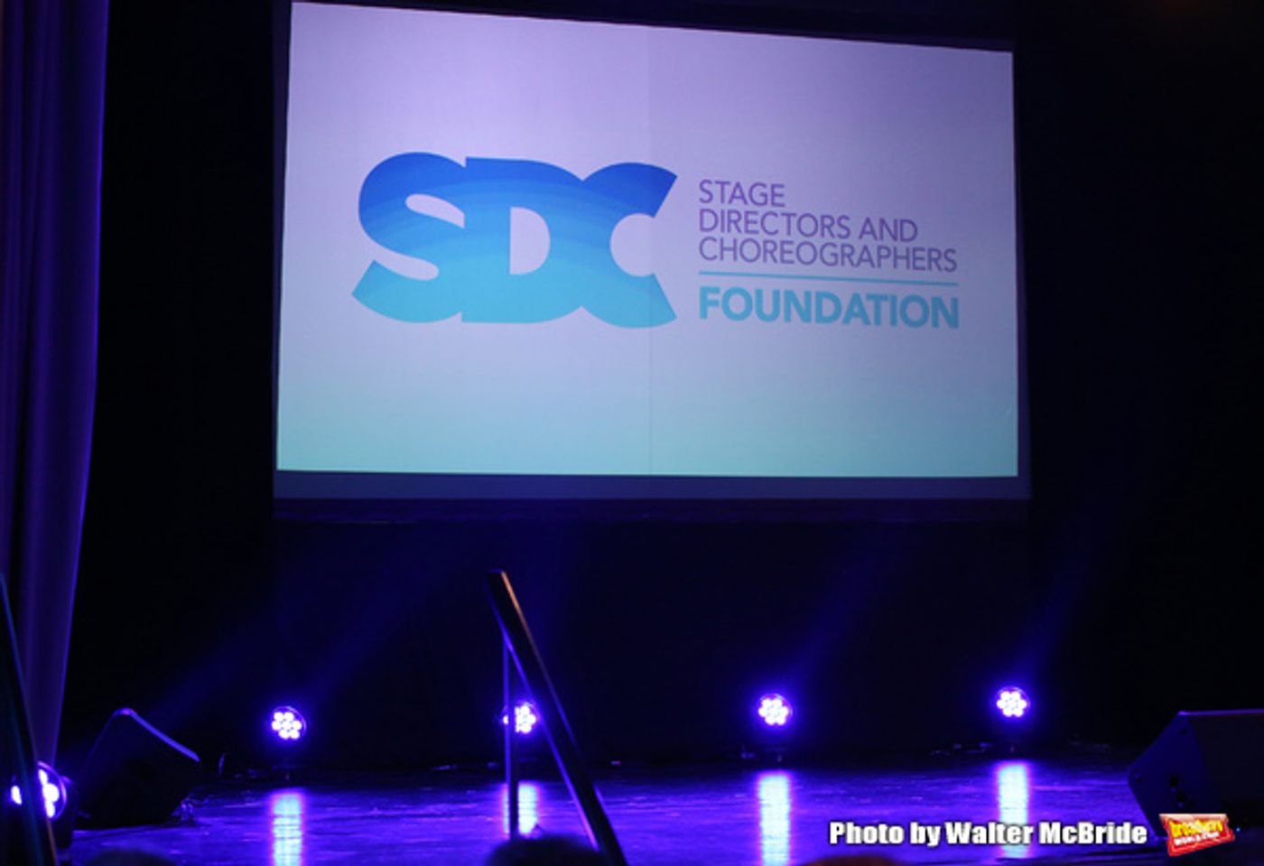 Photo Coverage: Julie Taymor is Honored With the Mr. Abbott Award  Image