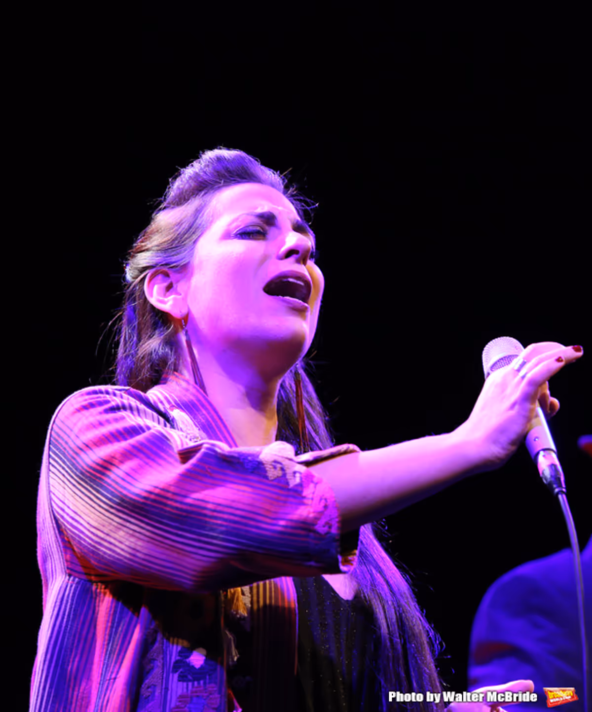 Sophia Rei at Julie Taymor is Honored With the Mr. Abbott Award