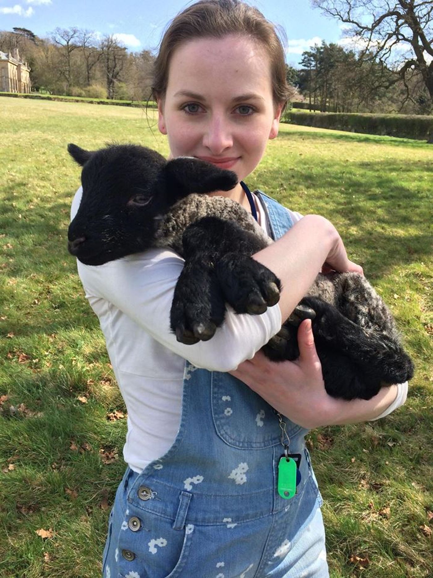 Shute-Pettaway, Wilds Head Cast of ACT 1's Upcoming Production of THE LITTLE FOXES  Image