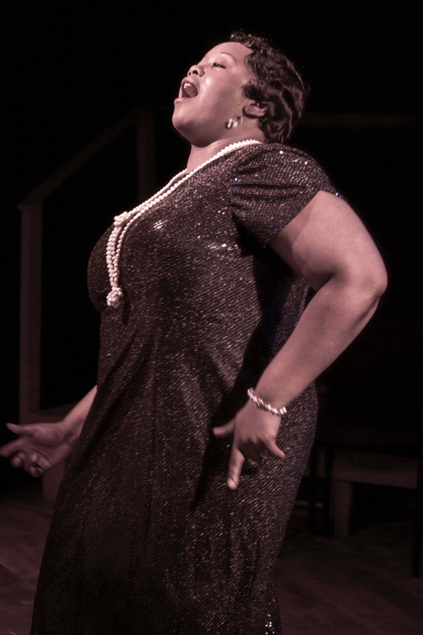 Photo Flash: Theatre NOVA Presents Michigan Premiere of THE DEVIL'S MUSIC: THE LIFE AND BLUES OF BESSIE SMITH  Image