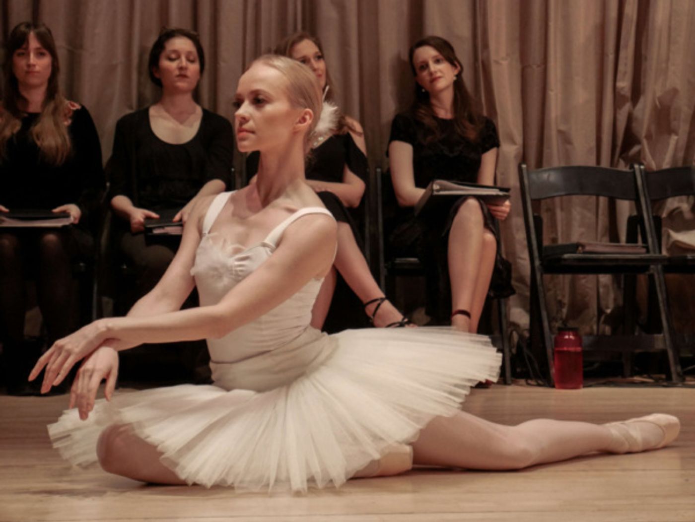 Photo Flash: Johanna Telander's KALEVALA THE MUSICAL Concert Comes to The Scandinavia House  Image