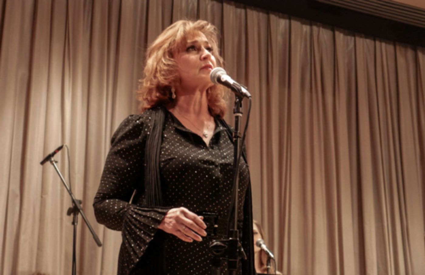 Photo Flash: Johanna Telander's KALEVALA THE MUSICAL Concert Comes to The Scandinavia House  Image