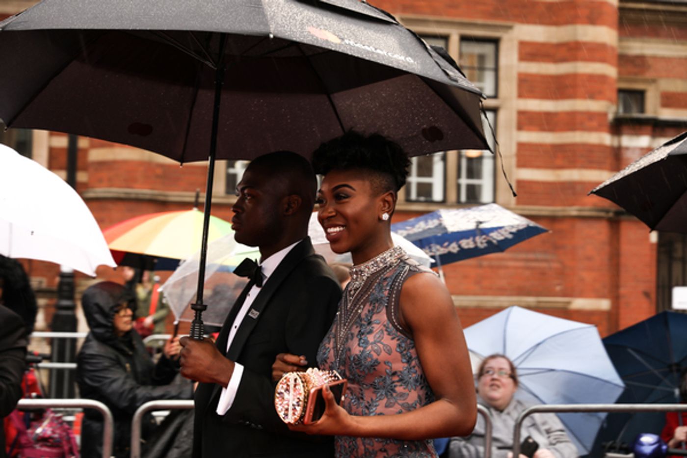 Photo Flash: On the Red Carpet at the Olivier Awards  Image